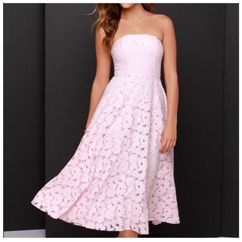 NWT BB Dakota pink lace strapless dress 10 spring wedding guest